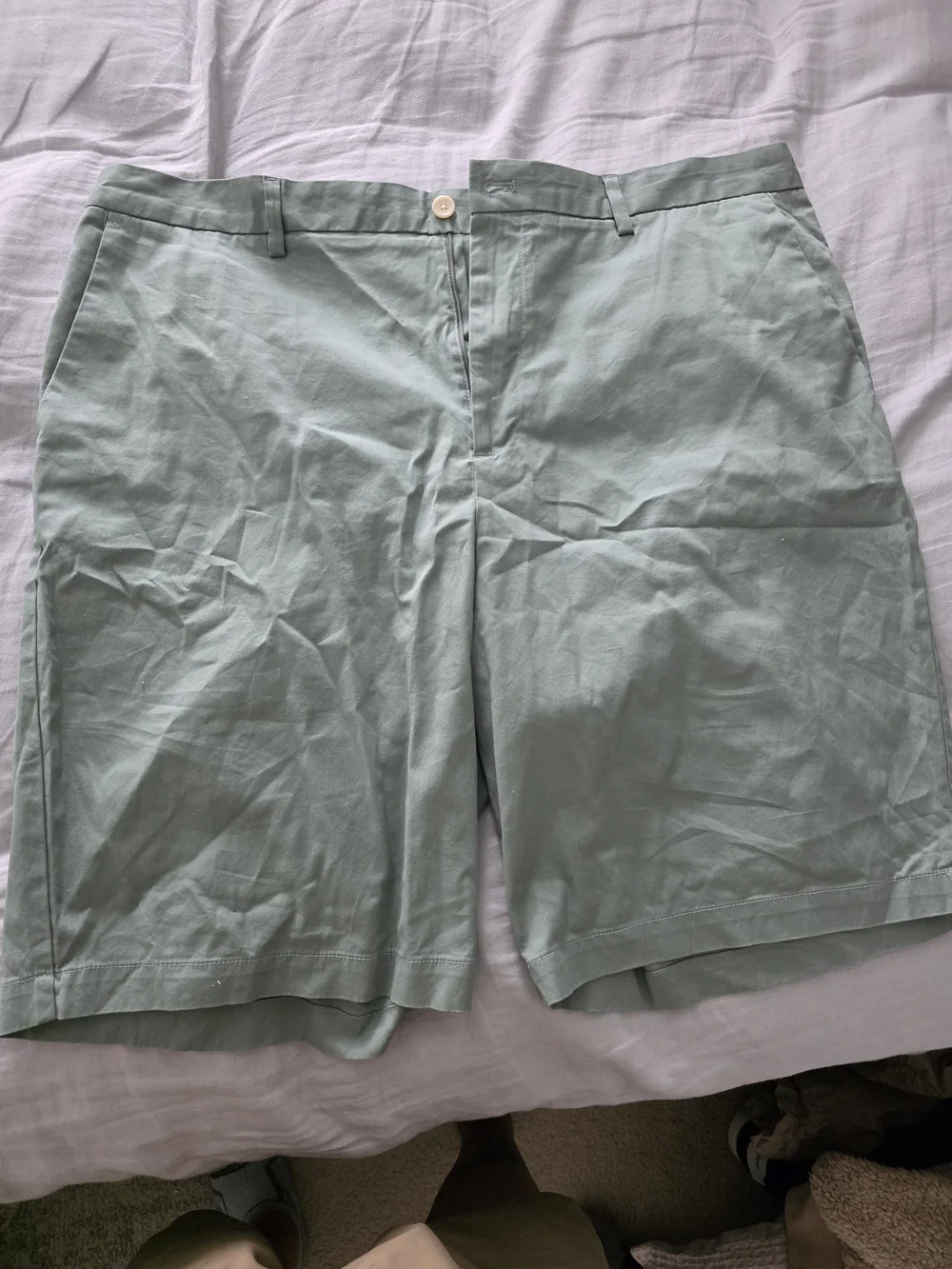 Banana Republic Mens Mint Green Shorts 42